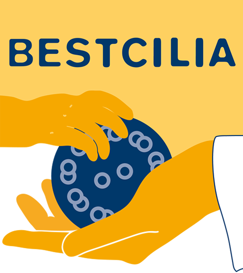 Bestcilia logo