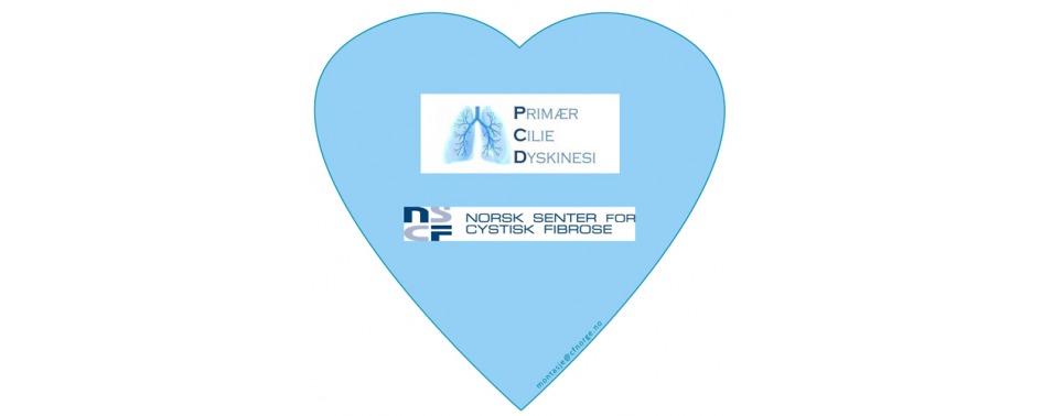 PCD NSCF hjerte montasje liten