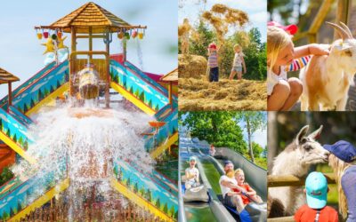 Region Sør-Øst inviterer alle medlemmer til Foldvik Familiepark – 6 juni 2026