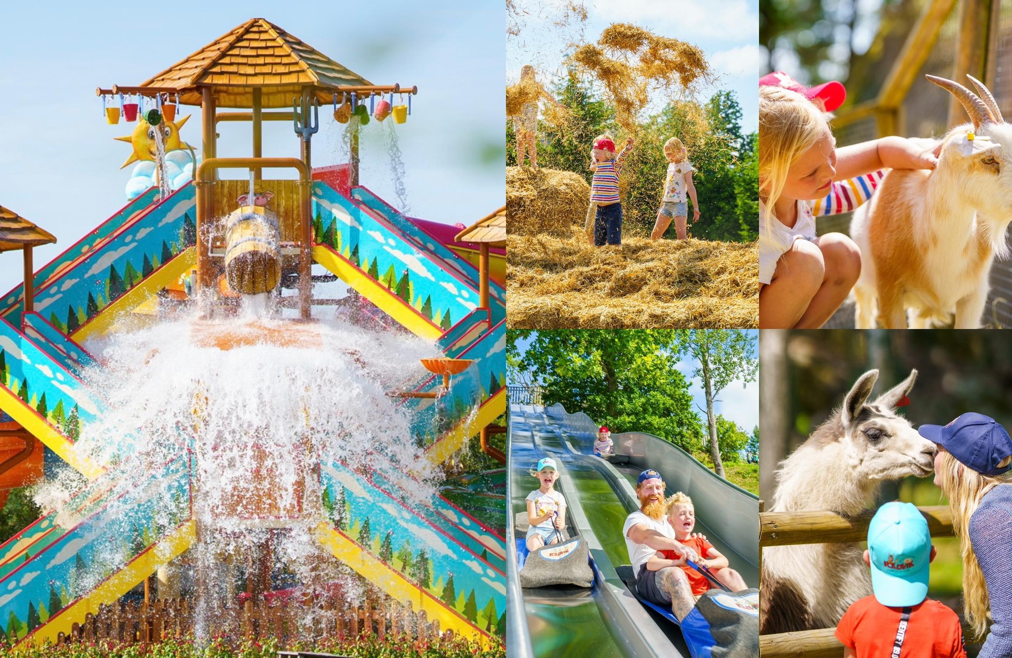 Starte på høyere utdanning som kronisk syk